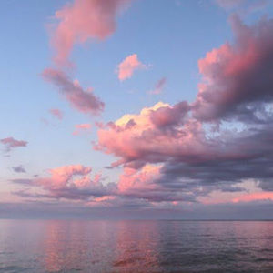 Meet your Posher, Jaedyn